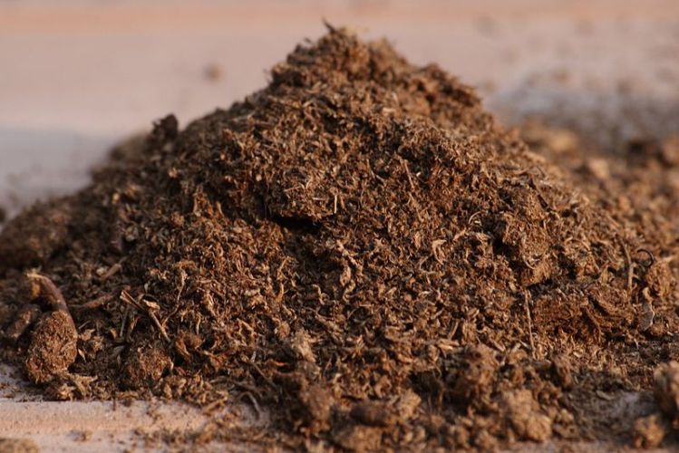 download free peat moss