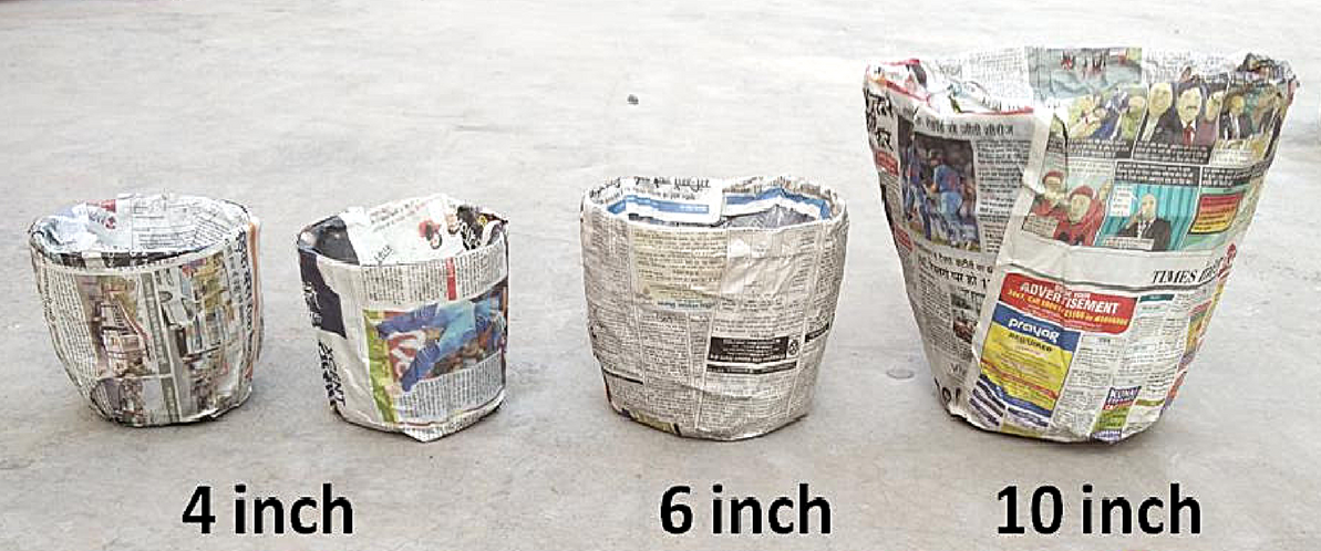 Newspaper Pots