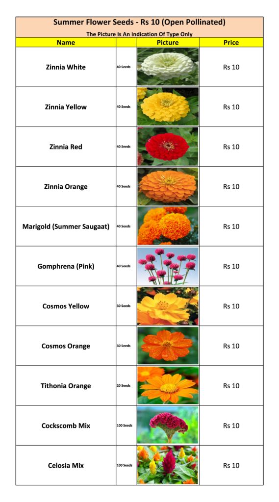 Summer Flower Seeds Rs 10 — Kitchen Home Gardener 6638