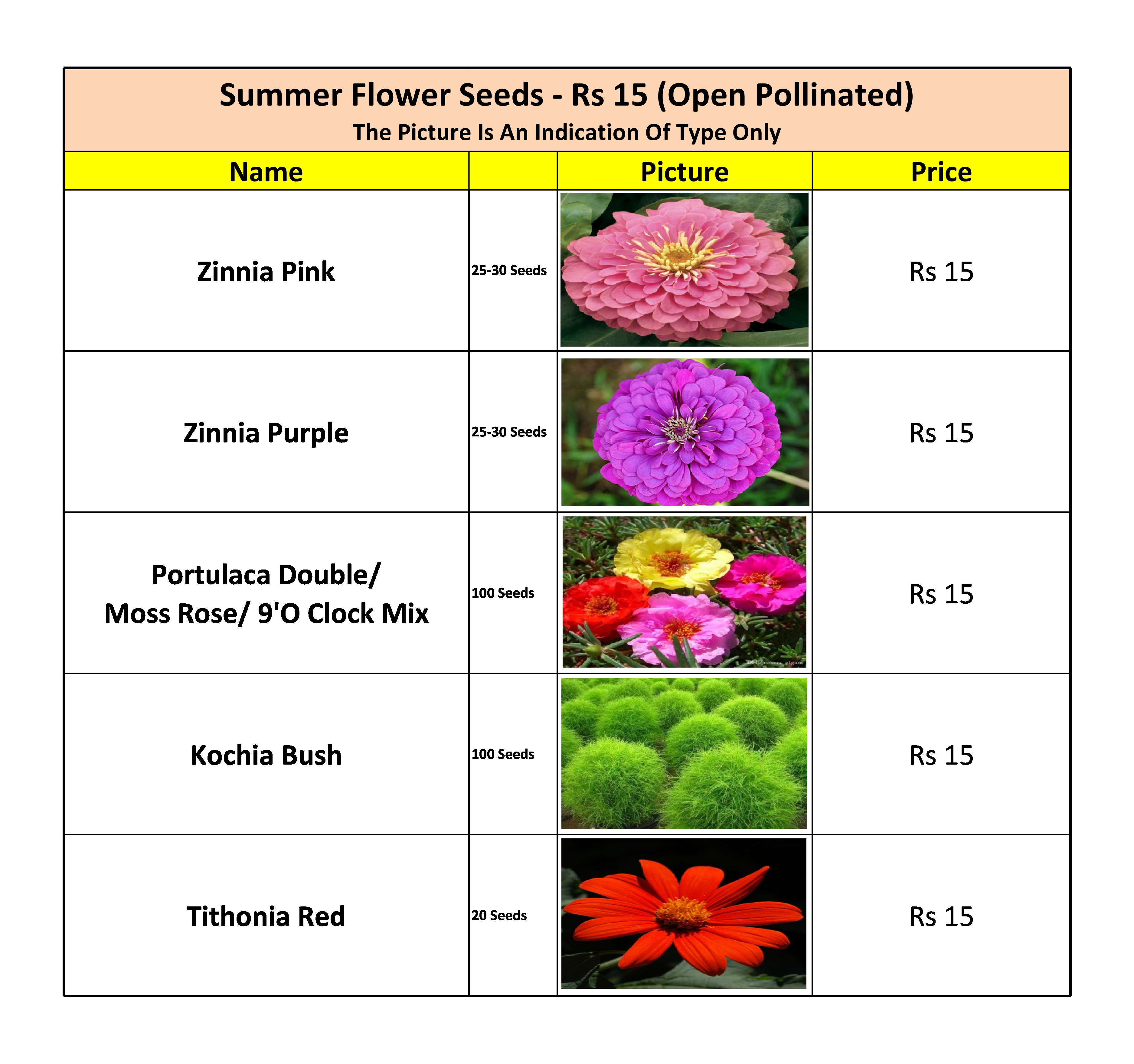 Summer Flower Seeds - Rs 15