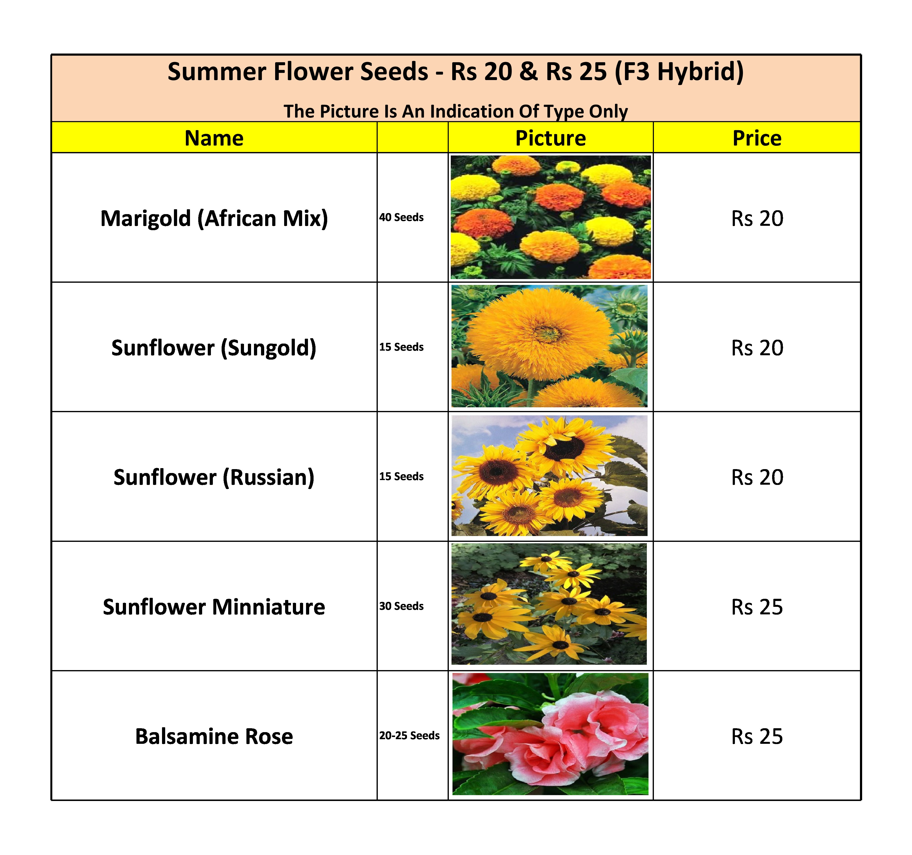 Summer Flower Seeds Bulbs List Kitchen Home Gardener