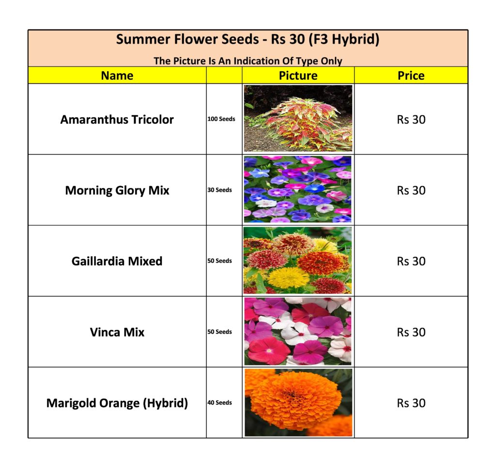 Summer Flower Seeds List — Kitchen Home Gardener