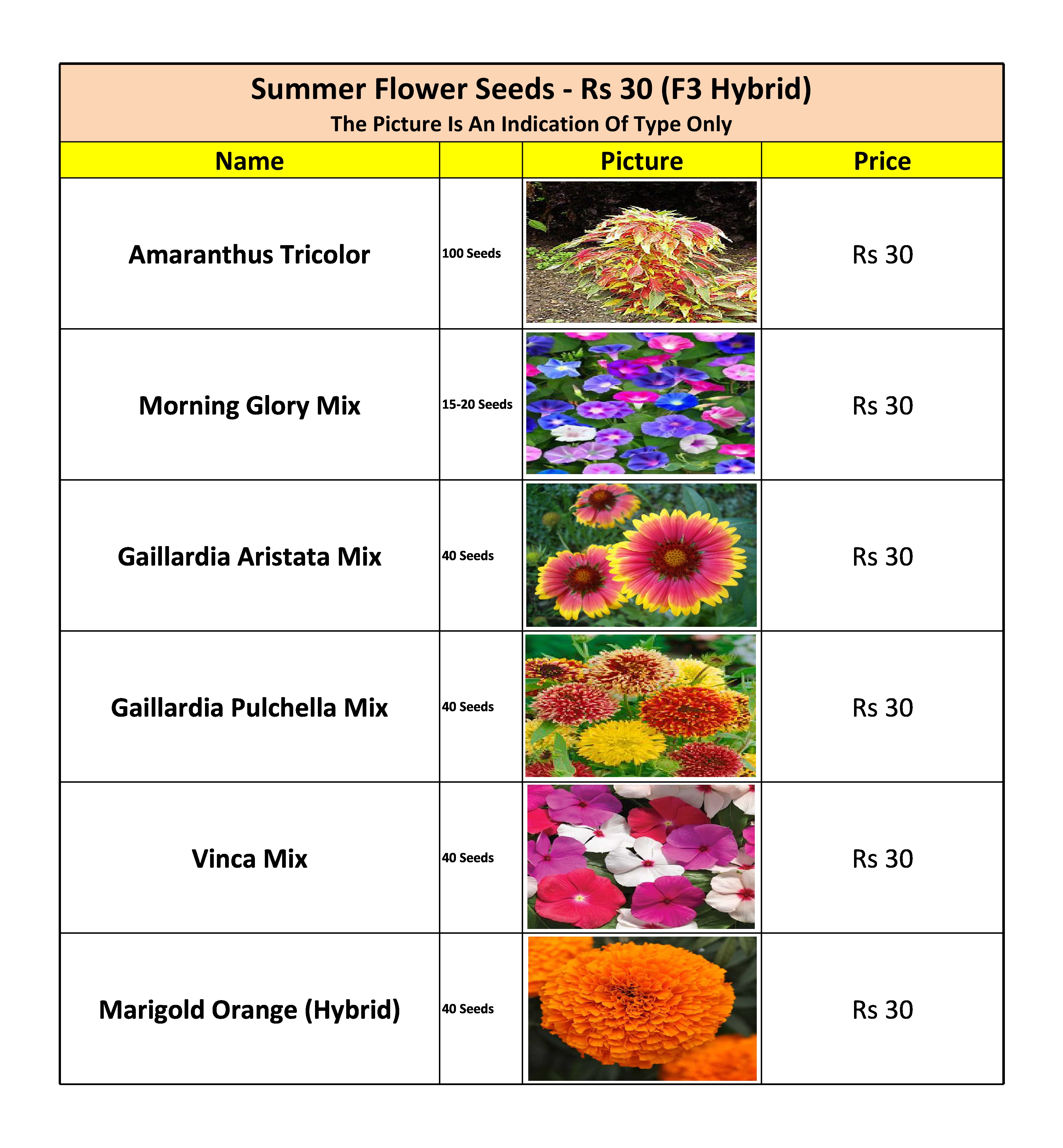 Summer Flower Seeds - Rs 30