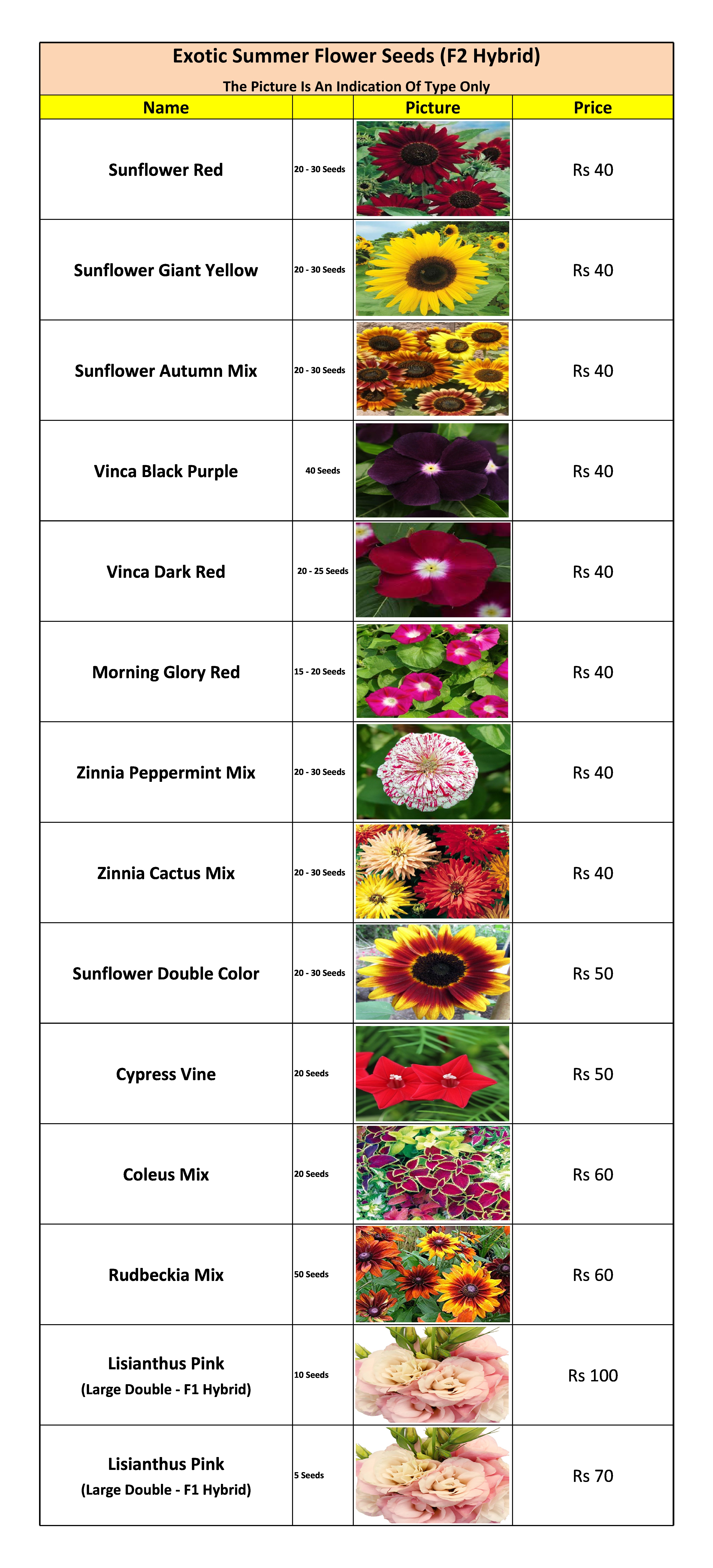 Summer Flower Seeds List — Kitchen Home Gardener