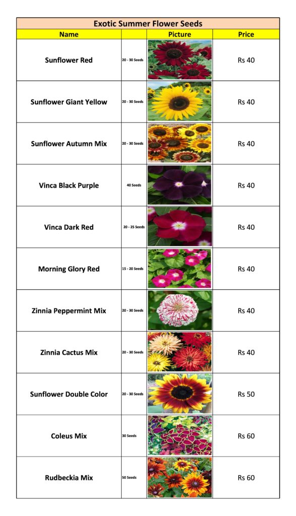 Summer Flower Seeds List — Kitchen Home Gardener