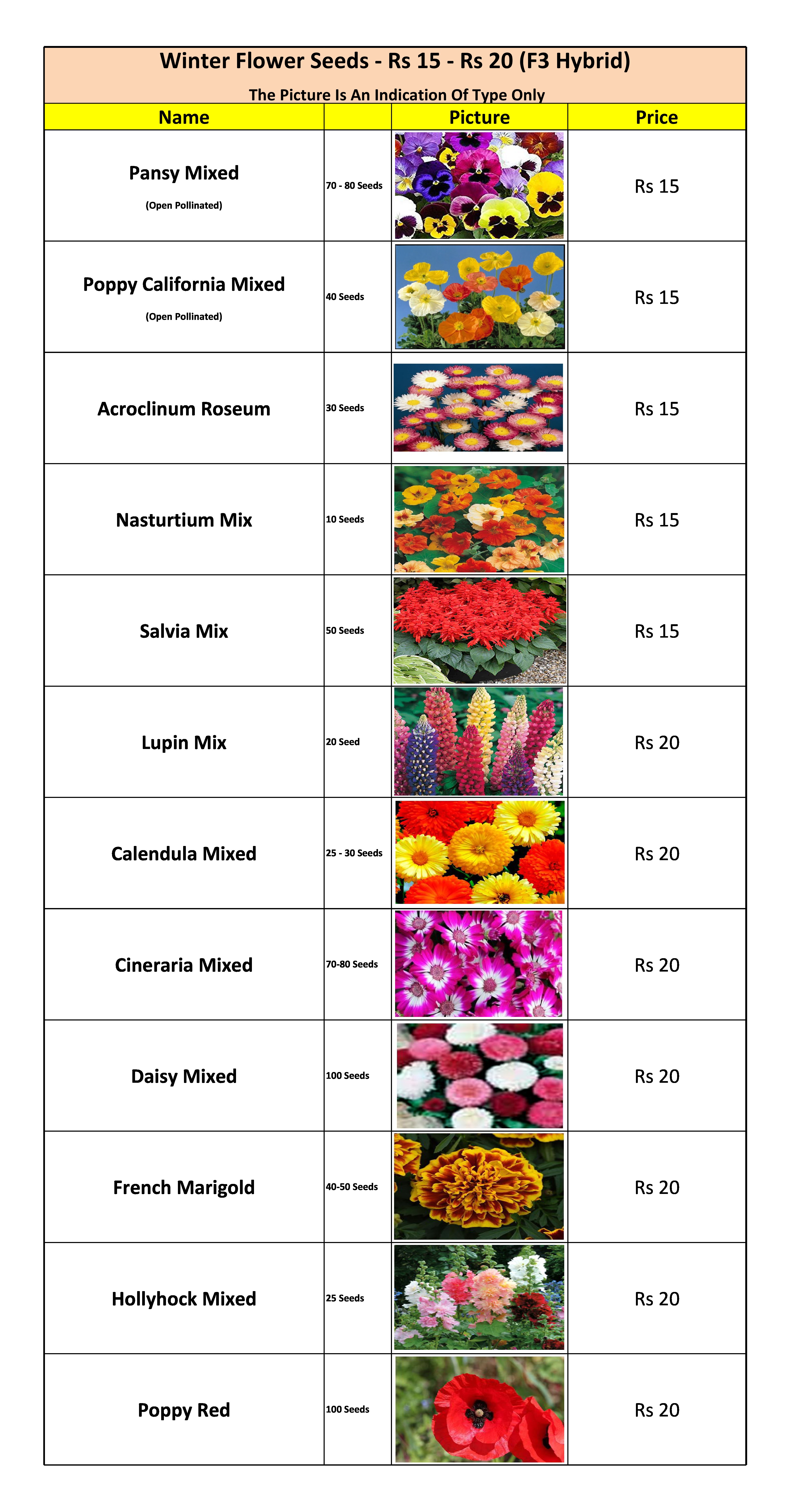 Winter Flower Seeds - Rs 15 & Rs 20