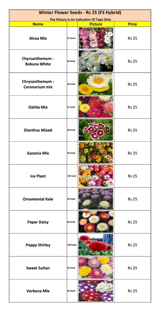 winter-flower-seed-list-kitchen-home-gardener