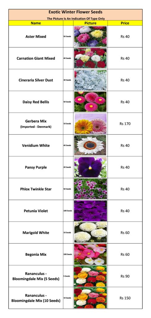 winter-flower-seed-list-kitchen-home-gardener