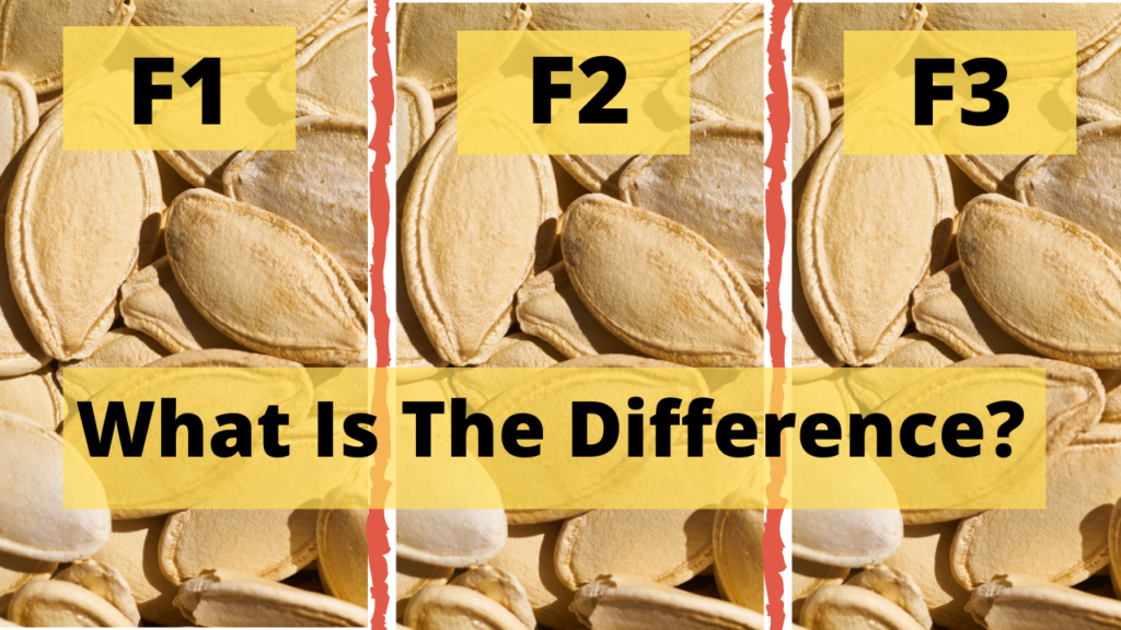 Difference Between F1, F2, F3