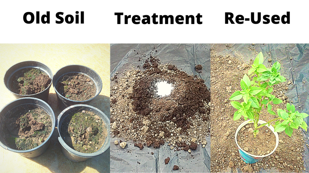 RevitalizeOld Potting Soil