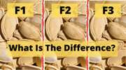 Difference Between F1, F2, F3